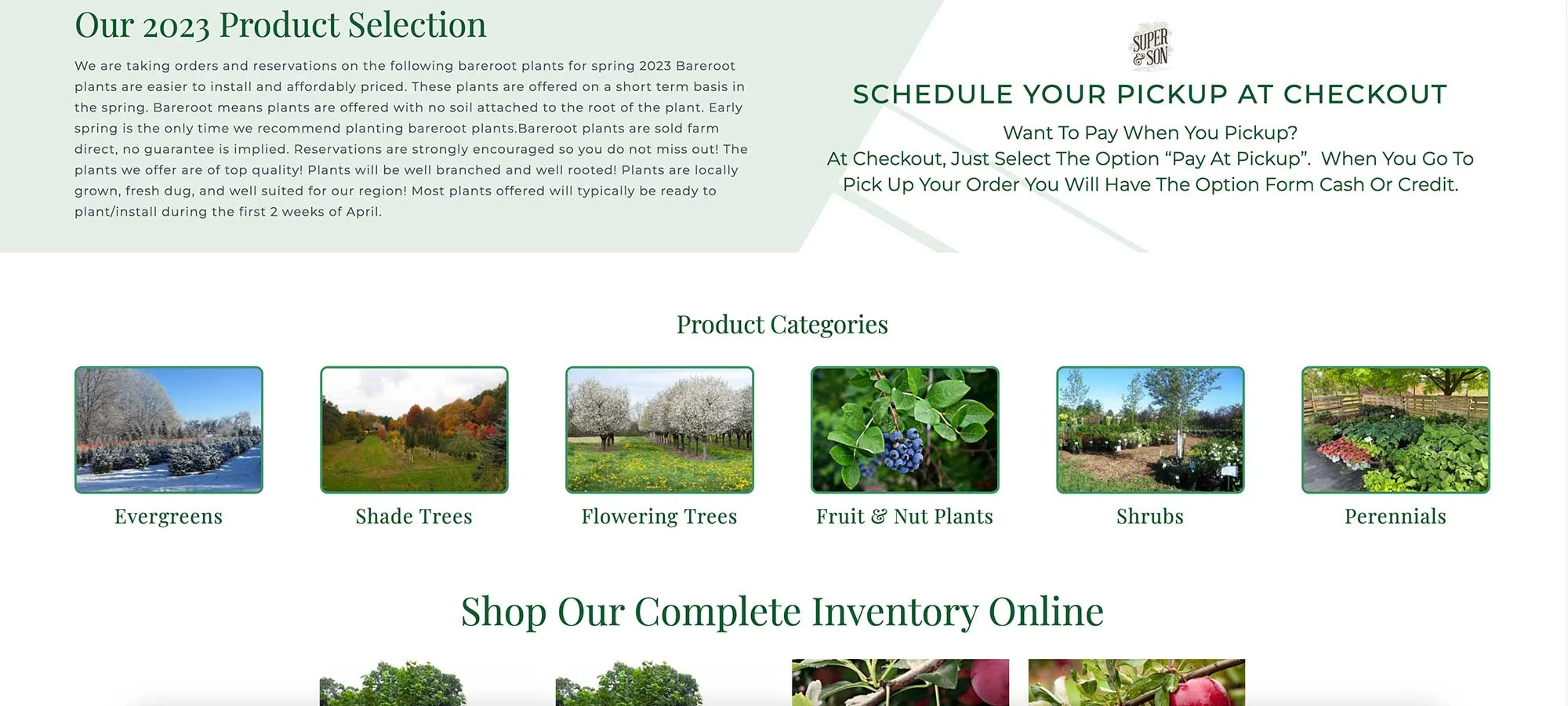Nearlywed Magazine Web Site